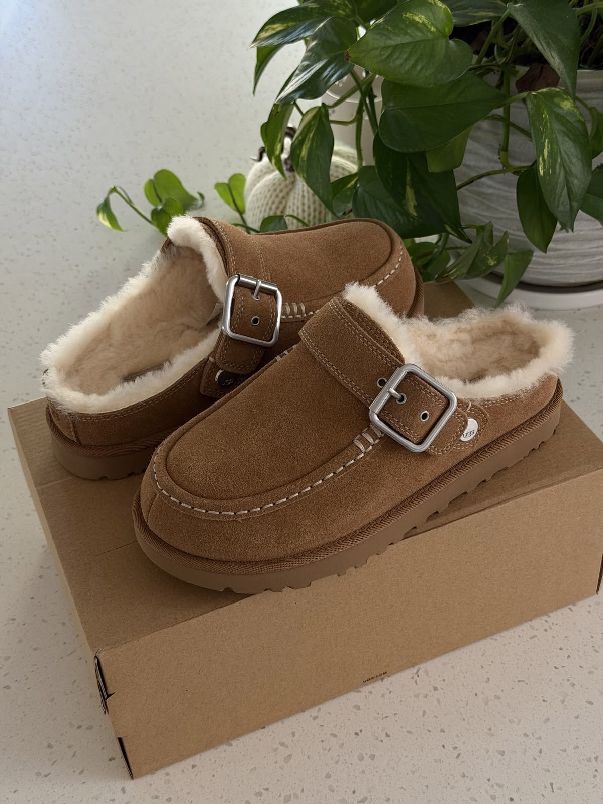 *UGG Solano Buckle Clog*